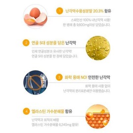 Cham Goods 고함량 난각막 엘라스틴 가수분해물 800mg x 60정 High Concentration Eggshell Membrane Hydrolyzed Elastin 800mg x 60 Tablets