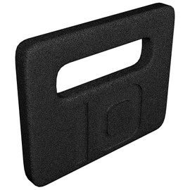 Fitvids Cast Iron Plate, Weighted Plate for Swings, Squat, Strength Training, Fitness Workout, and Home Exercises, 10-Pound