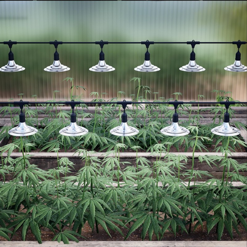 EVERYGROW Outdoor Waterproof Grow Light, 41FT Daisy Chain LED, Full