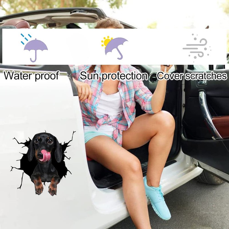 Fabisup Dachshund Riss 3D Car Sticker Decoration for SUV Windows,