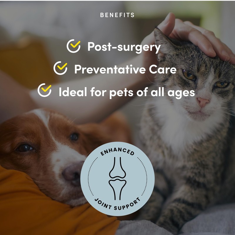 PURICA Pet Recovery Powder Extra-Strength - 350g, Dog Joint and