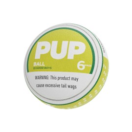 PUP Pouch Funny Parody Dog Toy | Plush Squeaky & Durable | Interactive Chew Toy for Small, Medium & Large Dogs | Upgraded Tough Fabric | Puppy Gift | Stuffed Novelty Crinkle Toy | Cool Pet Present