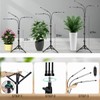 GHodec Grow Light with Stand, 60 LED 5500K Full Spectrum