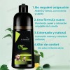Shampoo Tinte Instantaneo Cubre 500ml Canas Natural Jengibre