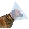 Beeztees Plastic Dog Cap 22-25 7, 5 cm