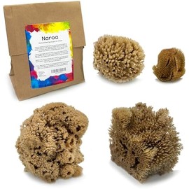 Naroa Artist Natural Sea Sponges for Painting 4 Pack | Unique Tool Set Unbleached | Great for Artists & Children | Acrylic, Watercolor, Marbling, Texturing, Pottery, Ceramics