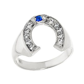 Claddagh Gold Men's 925 Sterling Silver Blue and White CZ Lucky Horseshoe Ring (Size 11)