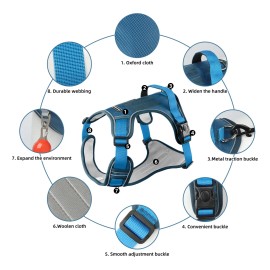 Pechera Arnés Con Correa Para Perro Chico Mediano Y Grande