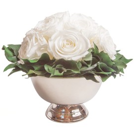 ROSEMARIE SCHULZ Heidelberg Infinity Flower in Silver Cup Eternal Rose Preserved Bouquet Long Lasting (White, 11 Roses)