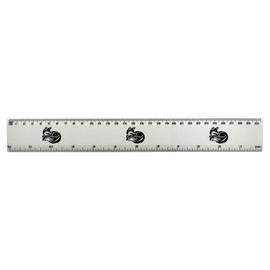 'Sleepy Fox' 30cm (12 Inch) White Plastic Ruler (RL00093316)