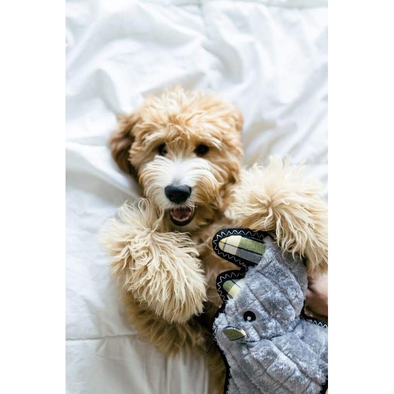 ZippyPaws ZP848 Grunterz Ronny Rhino Squeak Toy, Black