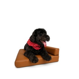 Orthopedic Dog Bed with Memory Foam, Washable L-Shaped Sofa with Removable Cover, Large Dog Bed (Best for Medium Breeds)