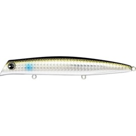 Ams Design (ima) Komomo SF-125 (Komomo) #KM125-404 Mullet