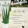 Forever Bright Toothgel for Oral Care and Hygiene Travel Size