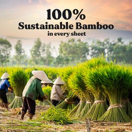 ZENO Organic Bamboo Toilet Paper 3 Ply - Sustainable Toilet Paper - 12 Jumbo Rolls & 350 Sheets Per Roll - Septic Safe - 100% Natural - PFAS & BPA Free - FSC Certified