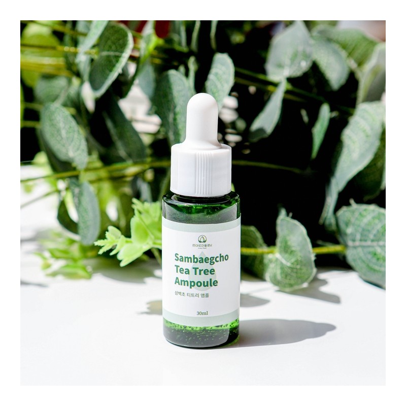 [Gift Recommendation] Skin soothing Tricentennial Tea Tree Basic Gift Set
