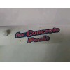 Stain-Out Rust Scum Stain Rust Concrete, Plaster,Gunite Swimming Pools USA