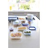 Curver 00009-082-00 Rechteckige Frischhaltedose New Grand Chef, 2,6L, transparent/blau