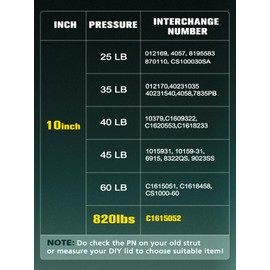 HelloAuto C1615052 10 inch 80LB/356N Gas Strut Shocks Spring Lift Support for Toolbox Lid Truck Pickup RV Bed Cabinet Storage Lid Door Boat Storage Lid, Set of 2