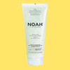 Noah Natural Hair 5.1 Volumizing Anti-Humidity Texturizing Gel with Mint
