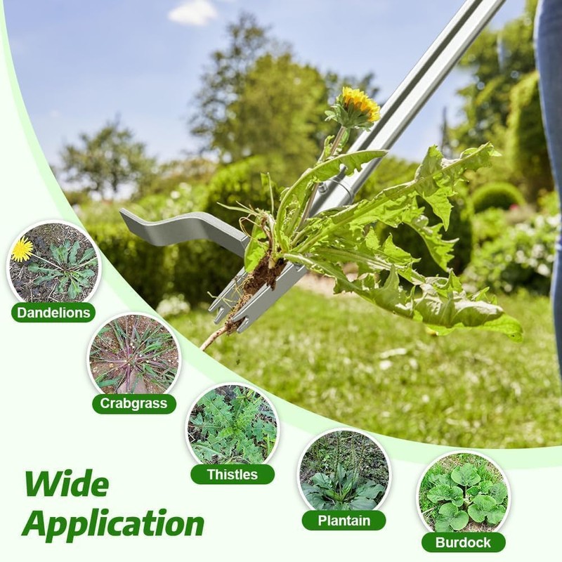 Fologtoo Stainless Steel Stand Up Weed Puller Tool with Long