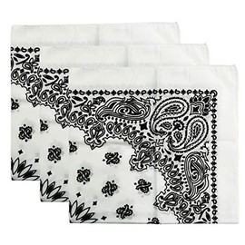 USA Made Military Army Trainmen Paisley 22 / Hav A Hank Paisley Bandana Made in USA (Set of 3) (White)