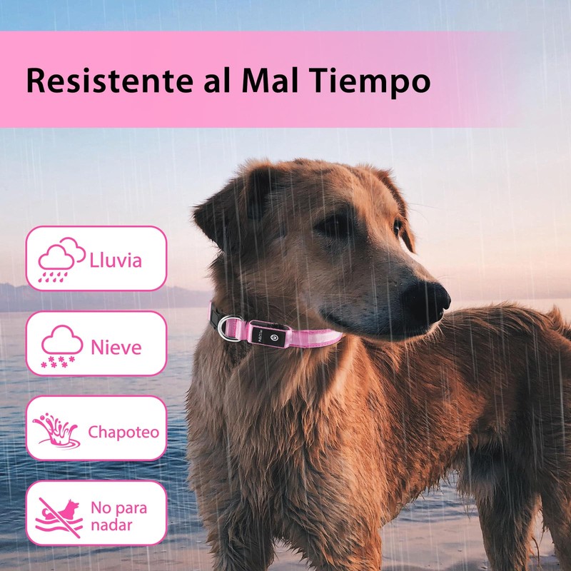 PcEoTllar Light up Dog Collar for Night Walking - LED