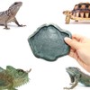 SLSON Small Reptile Feeder Terraium Bowl Plastic Shallow Reptile Feeder
