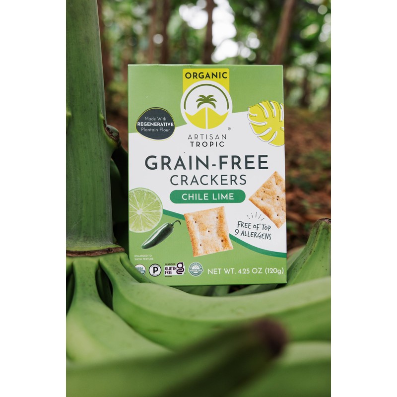 Artisan Tropic Chile Lime Organic Crackers, Gluten Free, Grain Free,