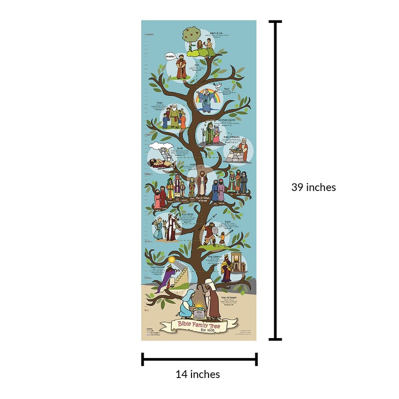 Bible Family Tree and Timeline for Kids, 13.75" X 39"