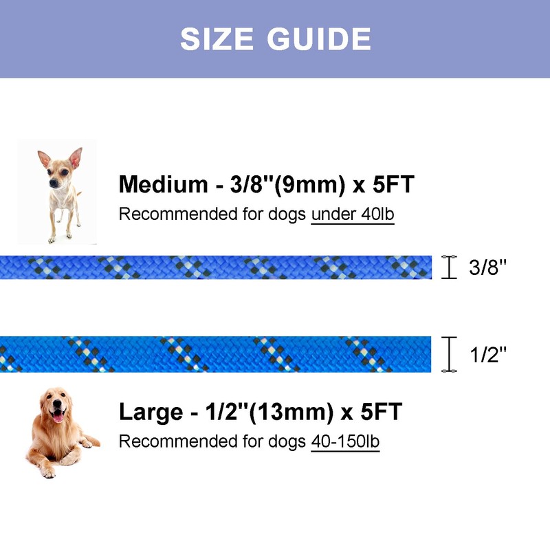 Petarea Petarea 5 FT Slip Lead Dog Leash, Heavy Duty