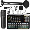 MadHornets V10 Live Sound Card & M800 Condenser Microphone for