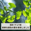 Domestic Ginkgo Biloba Tea, 0.1 oz (3 g) x 30