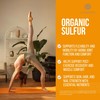 PURE Organic Sulfur Powder | 14.1 oz | Premium MSM