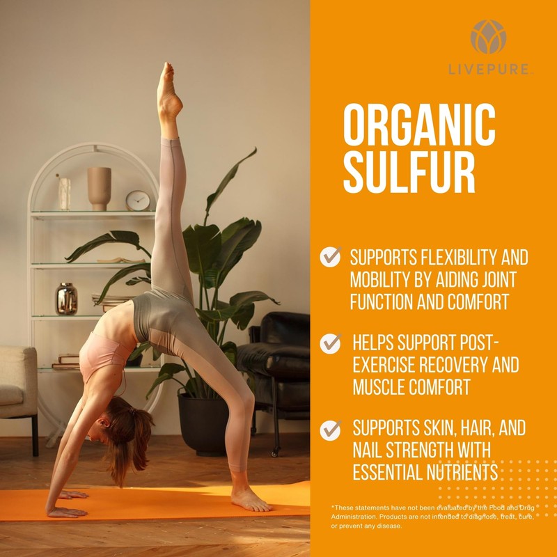 PURE Organic Sulfur Powder | 14.1 oz | Premium MSM