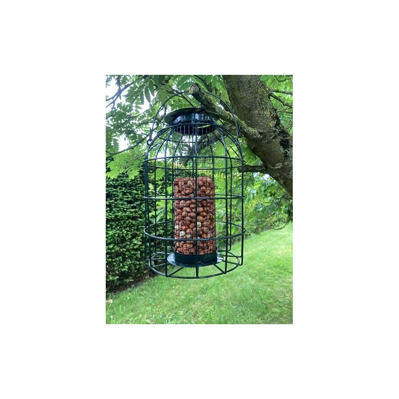 Oakdale Squirrel Resistant Peanut Bird Feeder