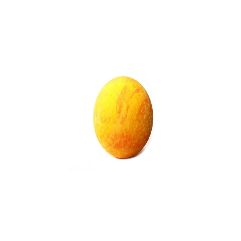 Wolters Straussenei - L - mango