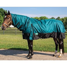 Gale Force Turnout Blanket Full Neck, Teal (70)