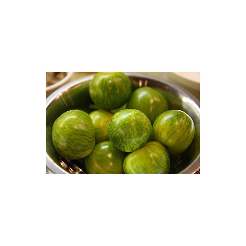 Thai Eggplant Seeds "Petch Siam"200 Vegetable Seeds, Heirloom From Thailand