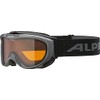ALPINA Freespirite DH Anthracite