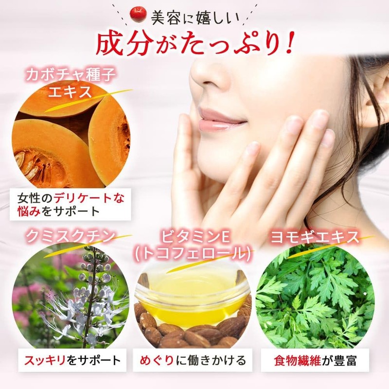健康応援団 サプリメント クランベリーエキス&ぽかぽか酵素 女性応援セット クランベリーエキス 酵素 乳酸菌 しょうが ヒハツエキス
