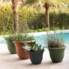 Bloem Ariana Pot Planter: 16" - Terra Cotta - Durable