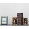 BOIHEGU Lion Statue Bookends, 7 inch Resin Exquisite Lion Statue(Set