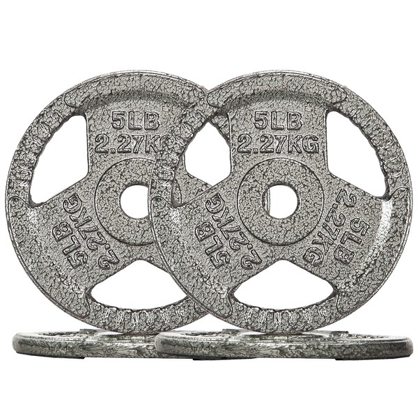 Aurorafy 1 Inch Standard Cast Iron Weight Plate, 4 x