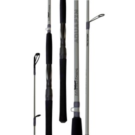 Fitzgerald Fishing AquaFin Saltwater Series Spinning 7'0" Medium Fast