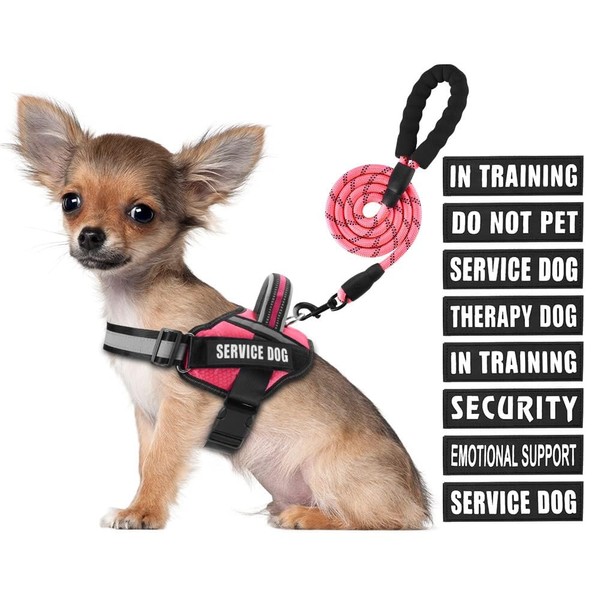 Service Dog Vest Harness and Leash Set, Animire in Training
