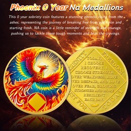 Sunlight Phoenix 0 Year Na Medallions - Reborn from Fire Sobriety Coin - Recovery Addiction NA AA Chips and Medallions - Celebrate Living Clean Affirmation Narcotics Anonymous Gifts for Men Women