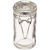Darice 910306 Glass JAR with Locking LID, Clear