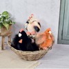 Histoire d'ours LES POULETTES PM - orange
