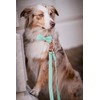 Soft Leather Bowtie Dog Collar - Adjustable Cute Bow Tie
